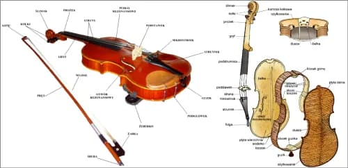 Ile strun mają skrzypce? Wszystko, co musisz wiedzieć o tym instrumencie.