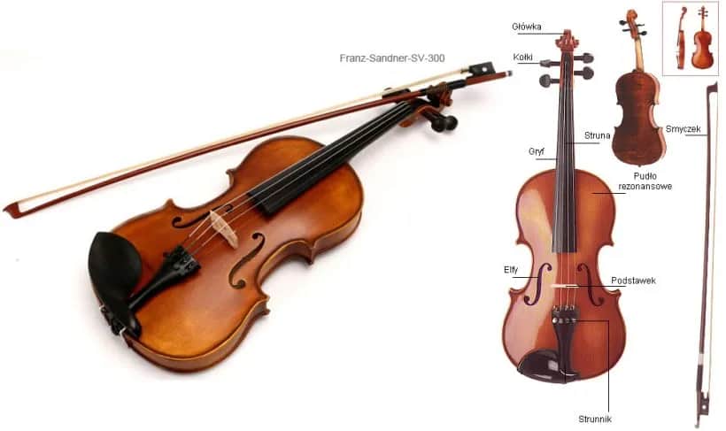 Jakie drewno na skrzypce? Odkryj najlepsze gatunki dla doskonałego dźwięku