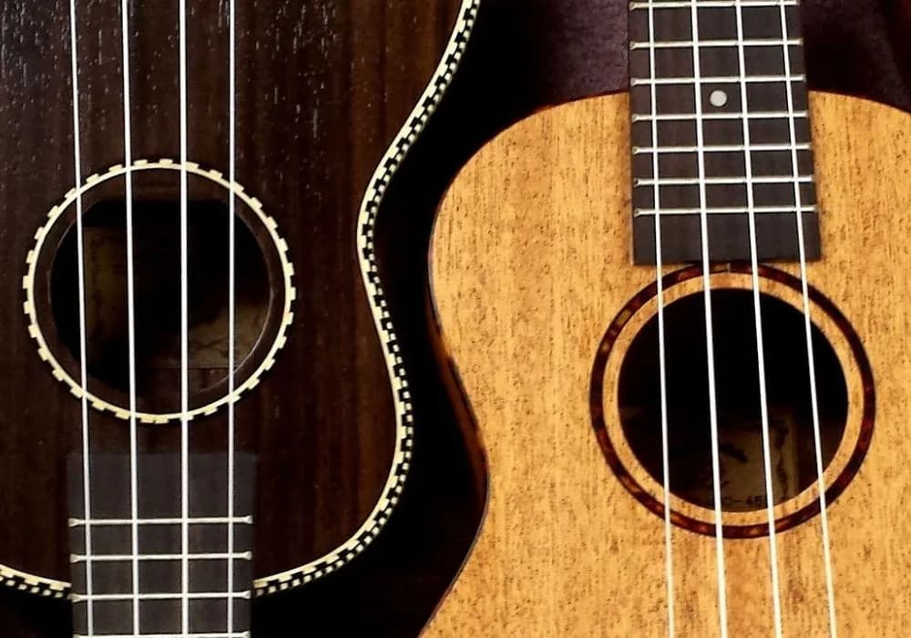 Ile strun ma ukulele? Poznaj różnice między typami ukulele.